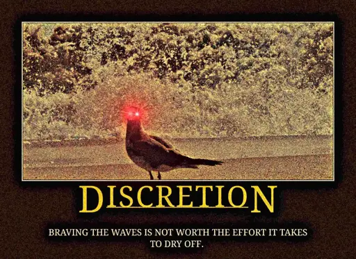 Discretion; braving the waves is not worth the effort it takes to dry off
