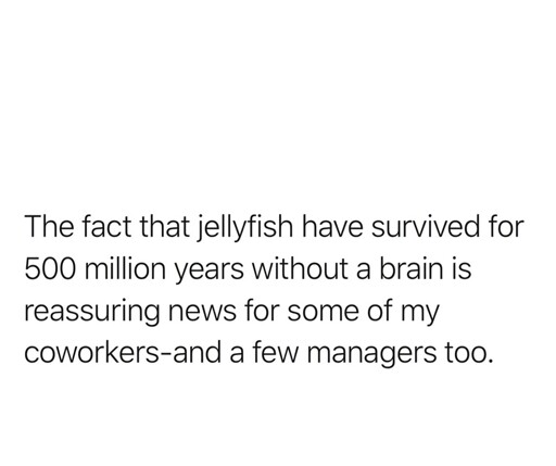 The fact jellyfish have survived for 500 million years without s brain is reassuring news for some of my co workers and managers