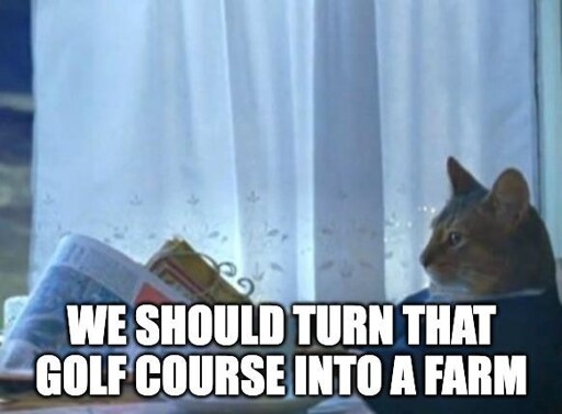 business cat meme