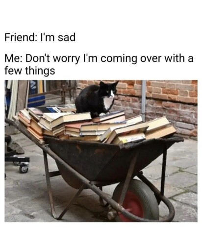 Cat in a wheelbarrow of books says friend: I'm sad me: don't worry I'm ony way with a few things 