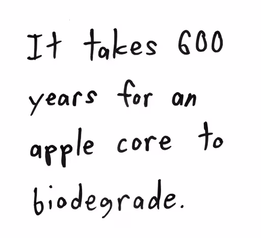 Apples are the least environmentally friendly food you can eat.