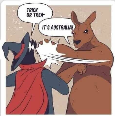 A person wearing a witch's hat and red cape says "Trick or trea—" and is interrupted by a kangaroo punching them and saying "it's Australia!"